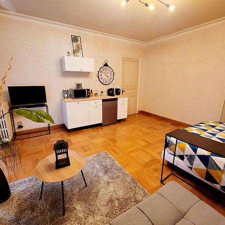 Superbe Appartement Calme Et Spacieux Graulhet Екстериор снимка