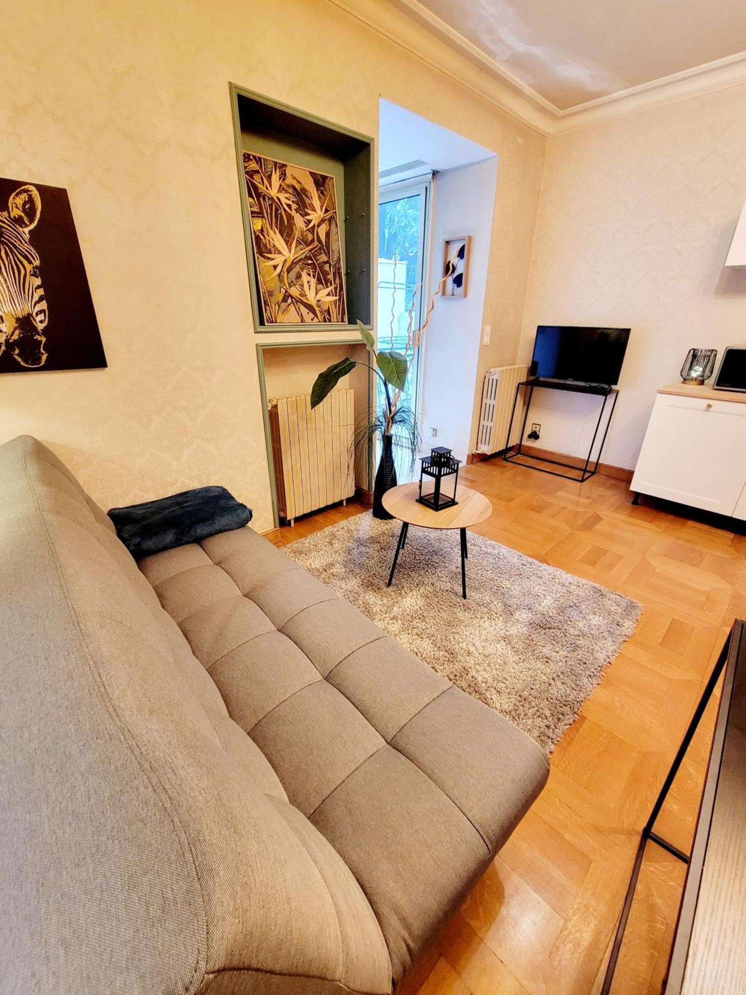 Superbe Appartement Calme Et Spacieux Graulhet Екстериор снимка